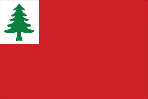 Continental Flag